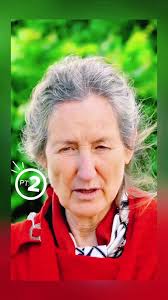 Barbara O Neill Soup