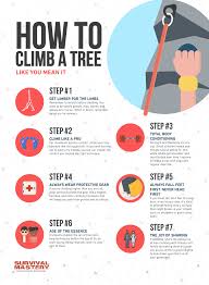 Becoming a climbing arborist entails undertaking several types of pruning such as deadwood removal, crown reduction, raising, thinning; Beginner Tree Climbing Take The First Step Know The Basic Rep Pacific Tree Climbing