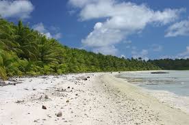 Desert Island Survival Scenario Shipwreck Beach Tool 1 Uninhabited Island Desert Island Island Survival