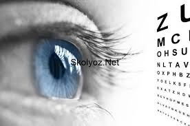 Goz Hastaliklari Nedir Ve Neden Olusur Gozler Skolyoz Genetik
