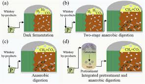 Earn reward points with every purchase. A Perspective On Decarbonizing Whiskey Using Renewable Gaseous Biofuel In A Circular Bioeconomy Process Sciencedirect