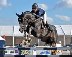 Baryard started to ride at the age of six and went on to be a very accomplished show jumper. Pin On Horses