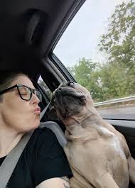 Monopoly game trade assistance and touch rewards