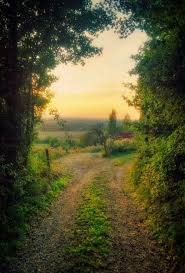 The Road Home Landscape Country Roads Take Me Home Scenery