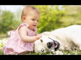 Check spelling or type a new query. Funny Video For Kids Kids Playing With Cats And Dogs Funny Video Funny Dog Videos Happy Dogs Pets