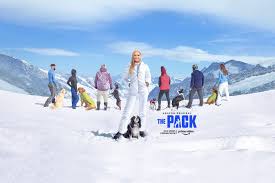 I can't give praise enough to the caring, dignified professional service found at all pets at peace. Press Media Contact Tractive