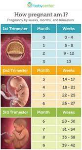 Learn how to figure out how many weeks pregnant you are and what week of pregnancy you're in at whattoexpect.com. Pin On A Healthy Pregnancy