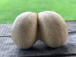 Sexy melons