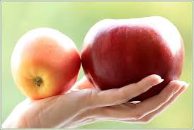 We did not find results for: 245 Ha Planted With Aport Apple Trees In Almaty Region Strategy2050 Kz