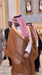 الامير محمد بن سلمان crown prince how to look pretty evolution t shirt