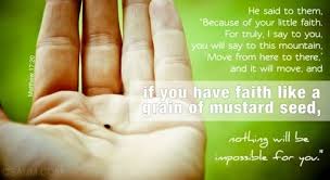 If You Have Faith Like A Grain Of Mustard Seed Christian Stay At Home Moms Faith Have Faith Mustard Seed