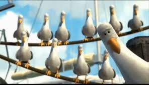 Top 30 Nemo Seagulls Gifs Find The Best Gif On Gfycat