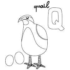 Your kids will increase their vocabulary by learning about different anima. Q For Quail Coloring Page Babadoodle