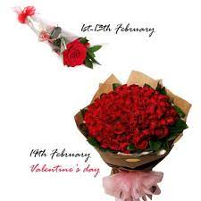 I love you from the core of my heart and the bright colour of the flowers express how colourful my life has become with your presence. 14 Love Rose Messages Same Day Valentine S Day Flowres Delivery Pakistan