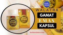 Pin Di Obat Herbal Walatra Gamat Emas Kapsul