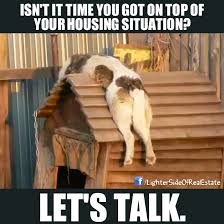 If You Like This You Ll Love All The Real Estate Humor On Our Website Http Lightersideofrealestate Com Category Real E Cats Real Estate Humor Funny Animals