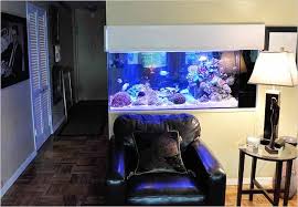 What is your thought about this? Home Aquariums As Decorating Elements The New York Times