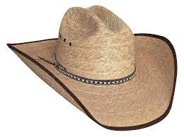 Cowboy Hat Png Image Cowboy Hats Cowboy Hats
