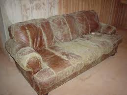 Household mold and mildew are common invaders in basements, especially in the presence of water damage, sump pumps, or other moist conditions. Home Mould Investigation In Chatham London Sarnia Windsor Dust Mite Control In On