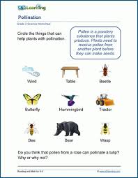 2nd grade math is all about mastering the basics. Science Worksheets For Grade 2 Students K5 Learning