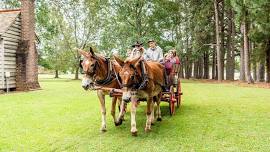 Fall Festival at Bentonville Battlefield