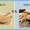 The degree of which it is better, however, is uncertain. 1