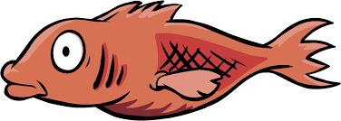 Use the yellow fish to catch the mullet. Mullet Club Penguin Wiki Fandom