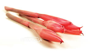 Siapkan semua bahan, tumis bumbu yang telah dihaluskan hingga harum. 4 Bahan Yang Ada Di Masakan Sunda