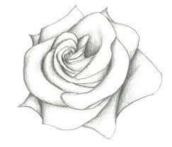 Beautiful Flower Drawings Pretty Drawings Of Flowers Pencil Sketches Easy Pencil Drawings Easy Flower Sketches