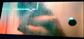 BBMzansi. The viewers of Big Brother Mzansi have