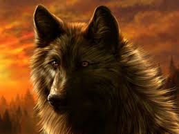 Check spelling or type a new query. Are You A Black Wolf Or White Wolf Wolf Photos Black Wolf Wolf Pictures