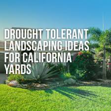 Drought tolerant landscaping is a beautiful thing. Drought Tolerant Landscaping Ideas For California Yards