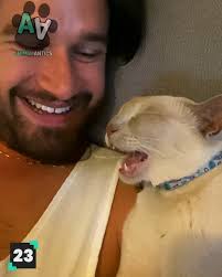 Cats are the funniest pets! 😂