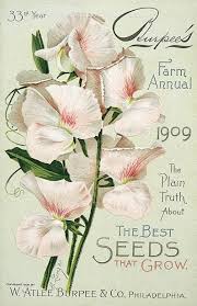 Pin By Kis Regi On Public Domain Vintage Flowers Vintage Seed Packets Seed Art