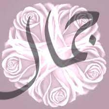 pin by arwazuu on رسم rose plants flowers