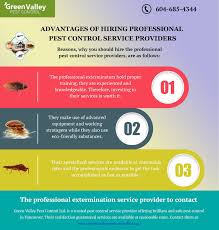 Overall, professional pest control provides faster and far more efficient results if you were to tackle an infestation on your own. Advantages Of Hiring Professional Pest Control Service Providers Green Valley Pest Control Ltd