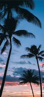 Check spelling or type a new query. Best Palm Tree Iphone X Hd Wallpapers Ilikewallpaper