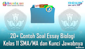 Lengkap 20 Contoh Soal Essay Biologi Kelas 11 Sma Ma Dan Kunci Jawabnya Terbaru Bospedia