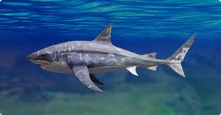 The megalodon shark was one of the most terrifying creatures that ever lived on our planet. Megalodon The Deep Wiki Fandom