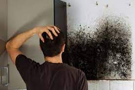 Black mold grows around cabinets and water fixtures amid its requirements for moisture; How To Get Rid Of Black Mold Under Kitchen Sink Or In Cabinets