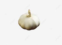 Berbeza dengan bawang besar yang mempunyai sebiji. Gambar Bawang Putih Bawang Putih Ulas Bawang Putih Makanan Png Dan Clipart Untuk Muat Turun Percuma