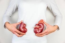 Diabetes Schaden An Den Nieren Patienten Information De
