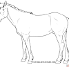 On our website, we provide you with plenty of coloring pages designed with horses for you to choose from and use. 1
