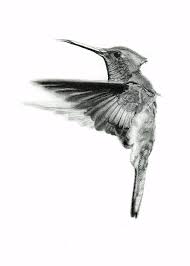 More realistic versions can be such an array of flattering colors. Hummingbird Tattoo Designs Page 2 Tattooimages Biz