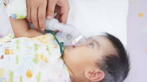 Buah adalah salah satu makanan makanan untuk bayi usia 6 bulan harus mudah ditelan dan sangat lembut. Waspada Dan Kenali Tanda Bayi Terinfeksi Virus Corona