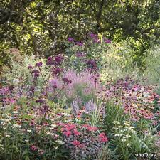 Auf Unserer Hollandischen Und Deutschen Gartentour Im August Konnen Sie Piet Oudolfs Werk G August Deutsche Garden Tours Garden Planning Garden Design