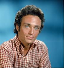 A Fan's Experience at a Past Event