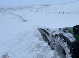 Image result for Tan 2021 Fleet