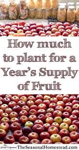 How Much To Plant For A Year S Supply Of Fruit The Seasonal Homestead In 2020 Fruit Dwarf Fruit Trees Homesteading