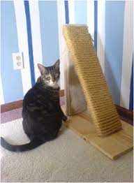 Top 10 Diy Cat Scratching Posts And Pads Diy Cat Scratcher Cat Diy Diy Cat Scratching Post